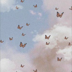 Meet your Posher, Serena